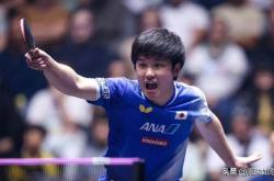 爱游戏tv-关于德国乒乓球队强势波兰乒乓球队，张本智和高光表现的信息