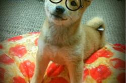 爱游戏在线-辽宁队完胜公牛，浓眉全程高能输出，一场跨越篮球文化的震撼对话