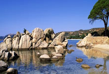 爱游戏娱乐-关于山东队在比赛中展现出强大实力，成功击败对手的信息