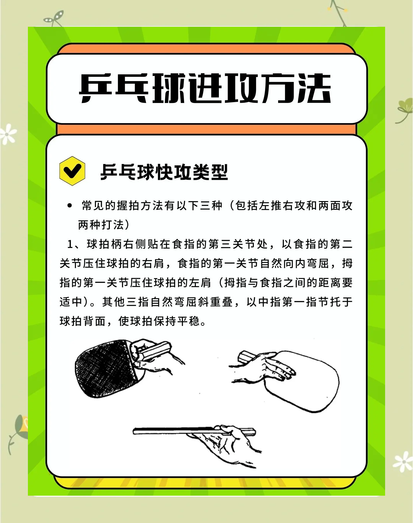 教练和球员的战术技巧和训练秘籍