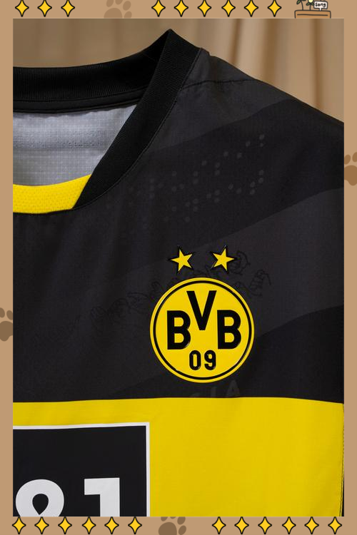 多特蒙德客场险胜，延续不败继续保持稳定战绩的简单介绍