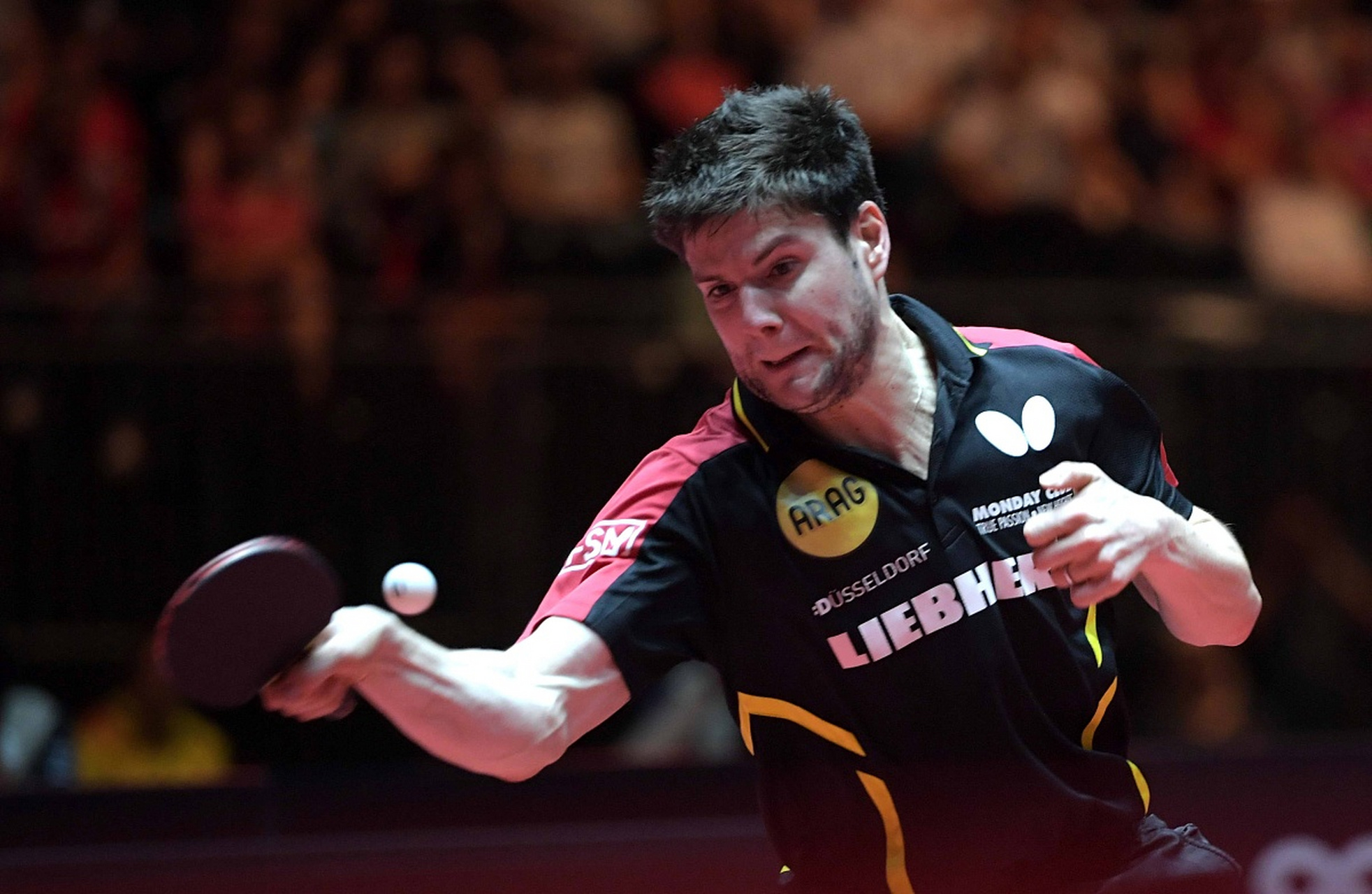 关于波兰队力克葡萄牙队，奥恰洛夫惊艳四座的信息