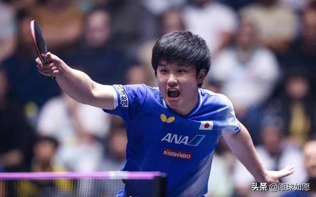 关于德国乒乓球队强势波兰乒乓球队，张本智和高光表现的信息