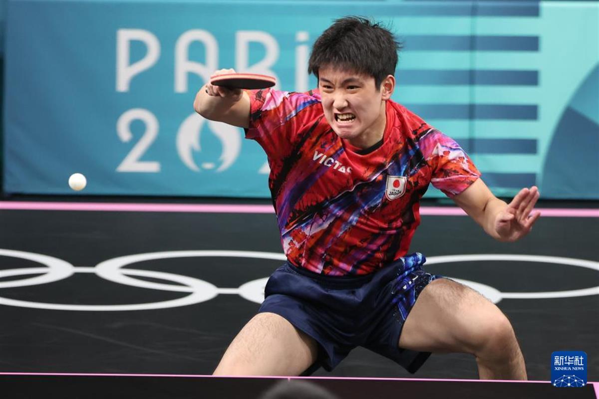 关于德国乒乓球队强势波兰乒乓球队，张本智和高光表现的信息