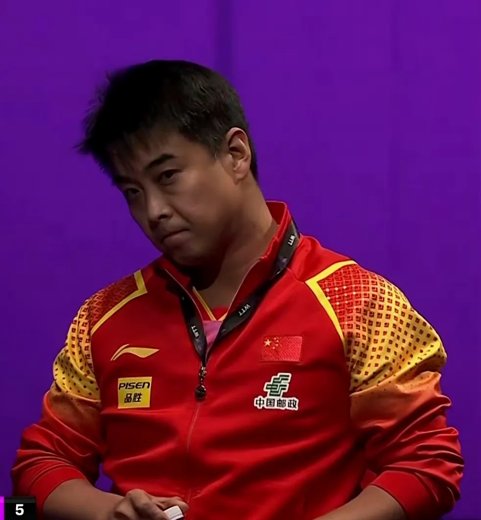 中国乒乓球队强势德国乒乓球队，王皓高光表现的简单介绍