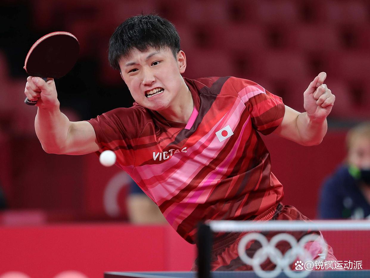包含法国乒乓球队险胜德国乒乓球队，张本智和爆发神勇的词条