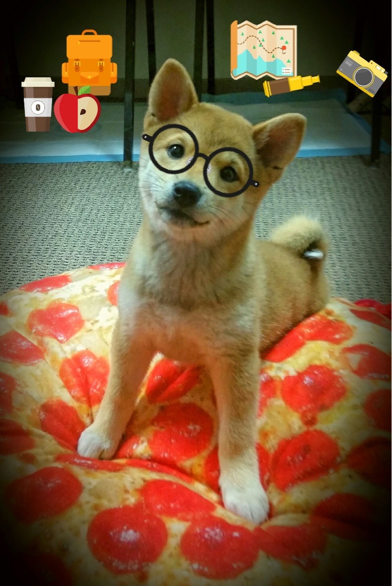 辽宁队完胜公牛,浓眉全程高能输出,一场跨越篮球文化的震撼对话