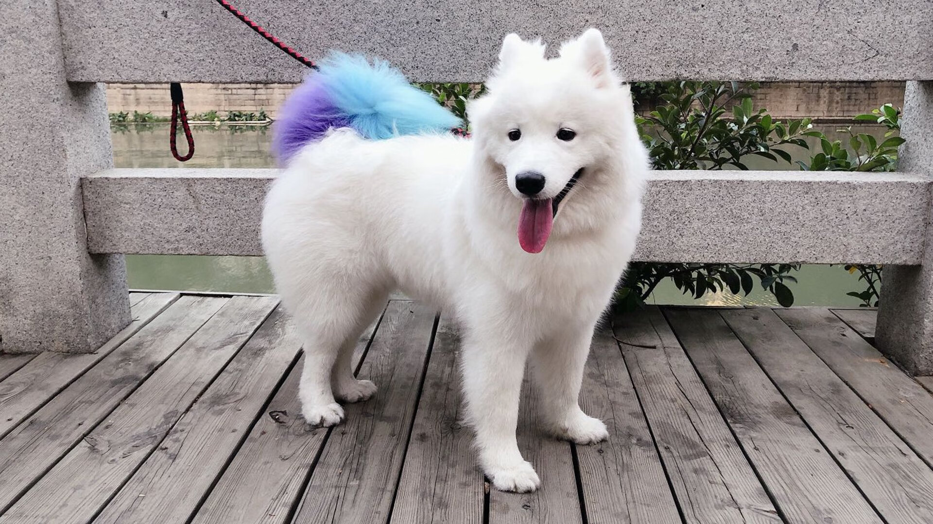 新王加冕，弗拉霍维奇接管2026，那不勒斯式胜利击碎乌拉圭铁壁