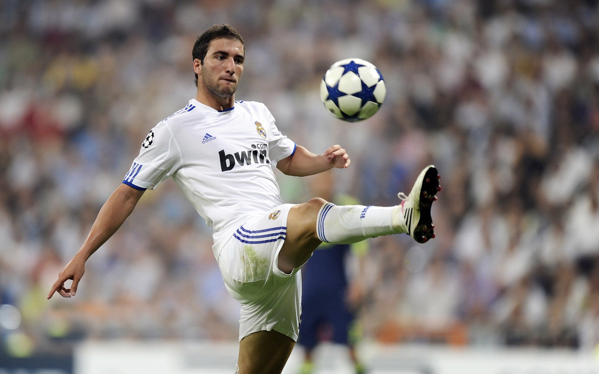 当莫兰特遇见波波维奇，一场被重新定义的节奏战争